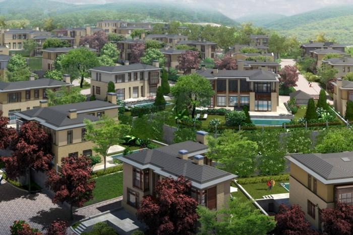 Ormanada Istanbul Europe / Zakaria Koy