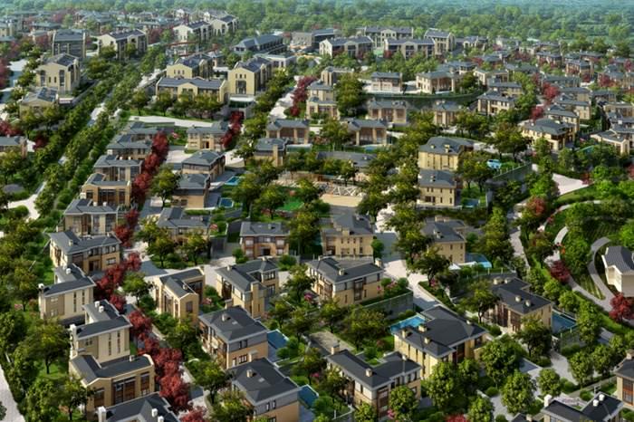 Ormanada Istanbul Europe / Zakaria Koy