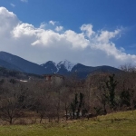 أرض زراعية للبيع / بورصة