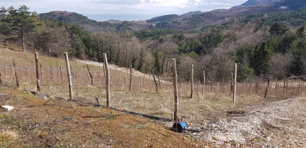 أرض زراعية للبيع / بورصة