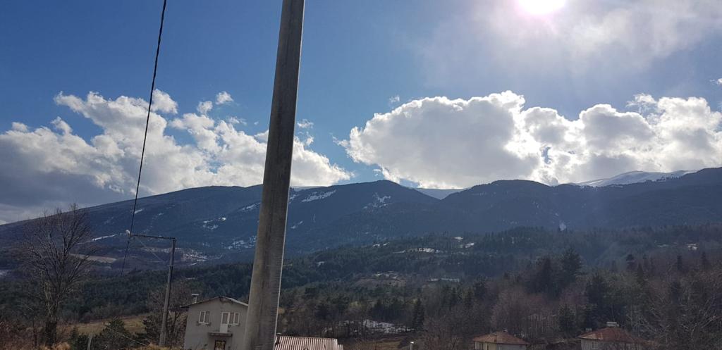 أرض زراعية للبيع / بورصة