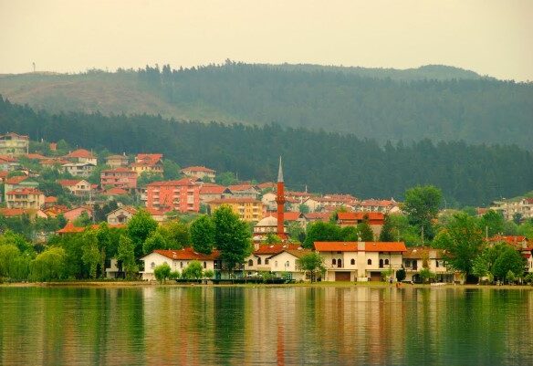 أفضل فلل للبيع في صبنجة